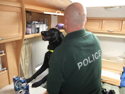 sniffer dog