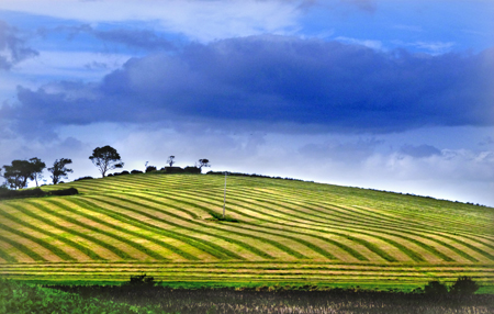 Farmer's artwork