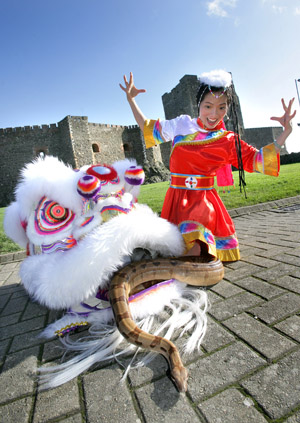 Wei Hong from Downpatrick with her slithering snake, a Boa Constrictor, practising her dance routine in Carrickfergus.