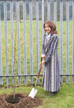 Barabara Judge plants a tree at SERC.