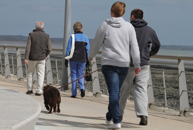 Dogs must be on leads in Newcastle promenade.
