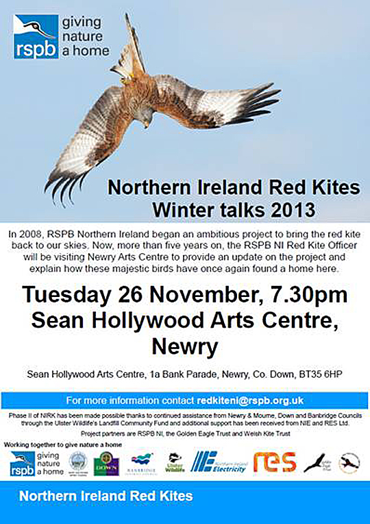 red kites