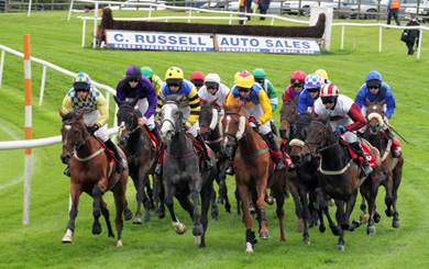 An excellent crowd is expected to turn up to enjoy  the Father's Day  race meeting on Sunday 15 June.  Downpatrick.