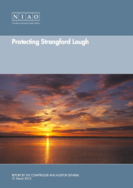 niao report lough