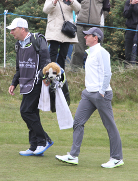 Walking down the 12th fairway in Royal County Down, Rory McIlroy contemplates his next shot.