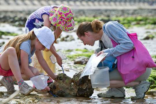 Come along and enjoy rockpooling for the family at Minerstown on Thursday 30 July from  3-5pm. 