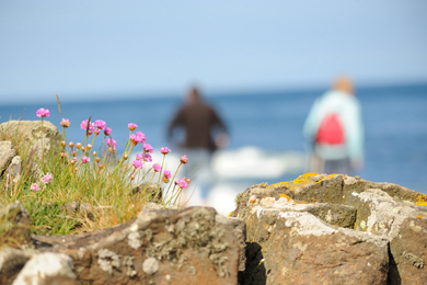 Come along and join the shoreline food foraging event. 