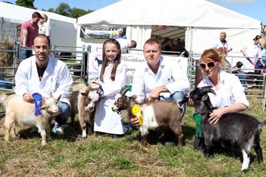In the pigmy goat section were Nicky Adair with Ozzi (second), Mehgan Ross with Bongo (first), Chris Barber with Kia (third) and jamie Barber with Finn (third).