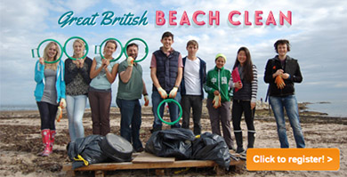 Join the big beach clean in September. 