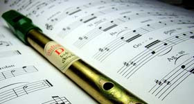 Learn to play the tin whistle at Down County Museum.