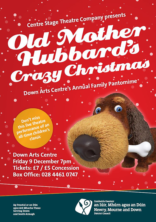 down-arts-centre-christmas-panto-2016-2